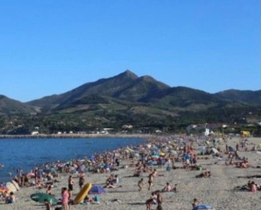 La Brise Marine ~ 300M Mer~Piscine~Clim~Wifi~Calme Argelès-sur-Mer Buitenkant foto